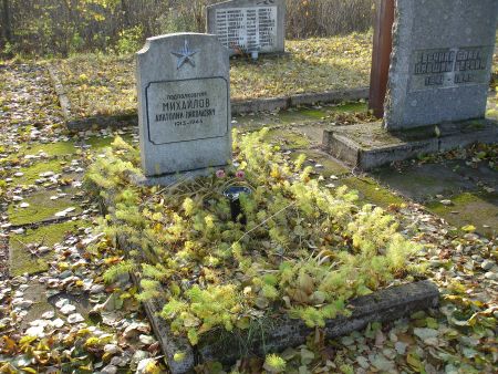 Отдельная могила подполковника А.Н.Михайлова (Адамова, волость Верему)