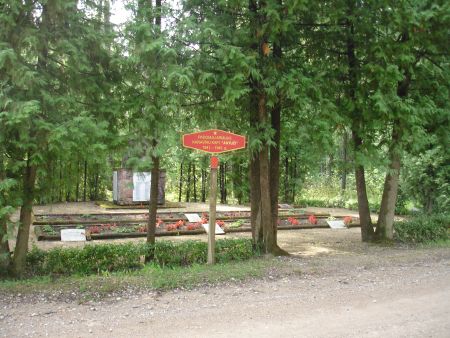 Вход на воинское братское кладбище (Антужи, волость Вариешу)