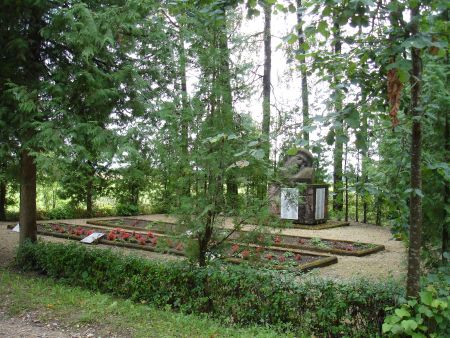 Общий вид воинского братского кладбища (Антужи, волость Вариешу)
