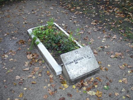 Памятный знак на воинской одиночной могиле (Вецстелпе, волость Стелпес)