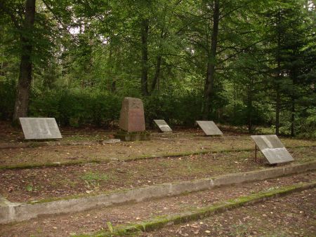Общий вид воинского братского кладбища (Цаунес, волость Даудзесес)