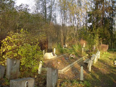 Общий вид воинской братской могилы (Дубовики, волость Залесьес)