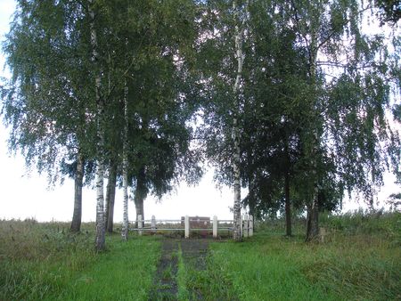 Общий вид семейного кладбища партизана (посёлок Янцишки, волость Малиновас)