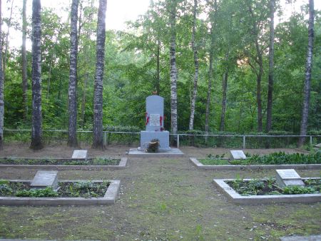 Общий вид воинского братского кладбища (Ландзаны, волость Випес)