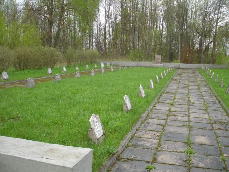 Общий вид воинского братского кладбища (Личкалны, волость Иршу)
