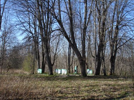 Вход на воинское братское кладбище (Лоборжи, волость Верему)