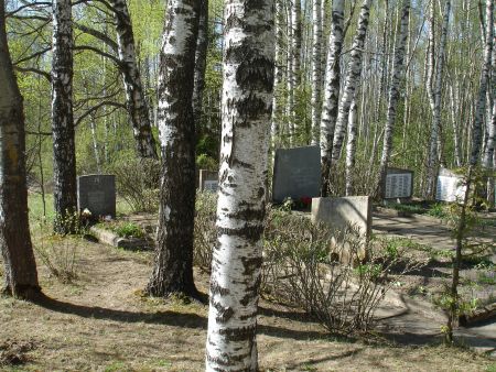 Общий вид воинского братского кладбища (Митри, волость Чёрнаяс)
