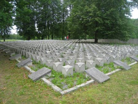 Общий вид воинского братского кладбища (Нитауре, волость Нитаурес)