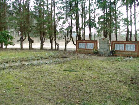 Общий вид братского кладбища (Стуры, волость Яунпилс)