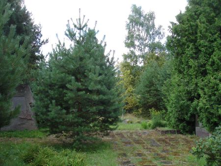 Вид на братскую могилу со стороны каплицы (Рагациемс, волость Лапмежциема)