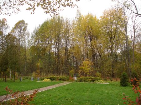 Общий вид воинского братского кладбища (Роговка, волость Наутрену)