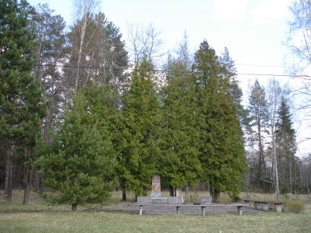 Общий вид воинского братского кладбища (Шалгунова, волость Жигуру)
