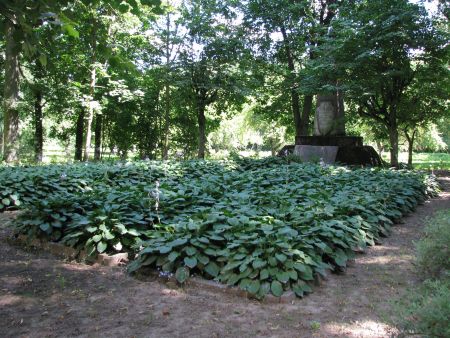 Общий вид воинского братского кладбища (Свитене, волость Свитенес)