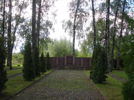 Общий вид воинского братского кладбища (Тулес, волость Цодес)