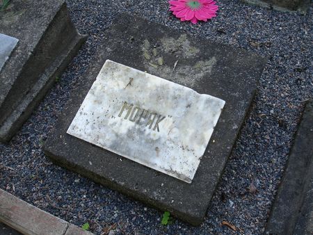 Индивидуальный памятный знак на могиле бойца партизанского отряда Глушнева (Виляны, площадь Културас)