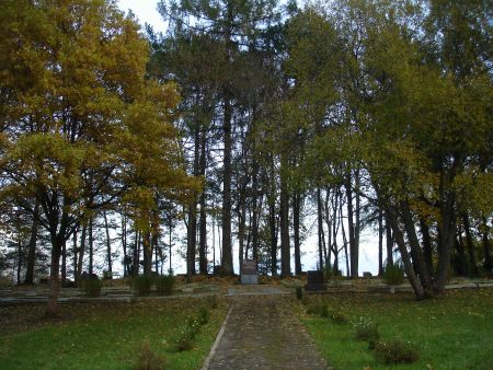 Общий вид воинского братского кладбища (Звиргздене, волость Звиргзденес)